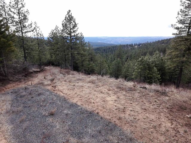 XX Blueridge Way, Deer Park, WA 99006