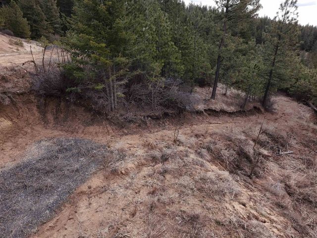 XX Blueridge Way, Deer Park, WA 99006