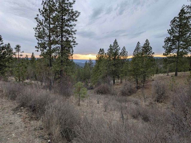 XX Blueridge Way, Deer Park, WA 99006