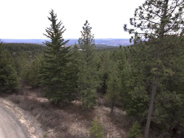 XX Blueridge Way, Deer Park, WA 99006