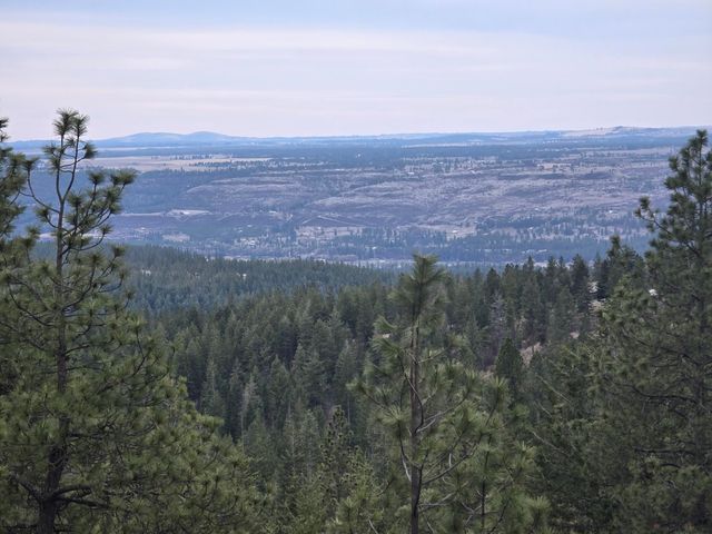 XX Blueridge Way, Deer Park, WA 99006