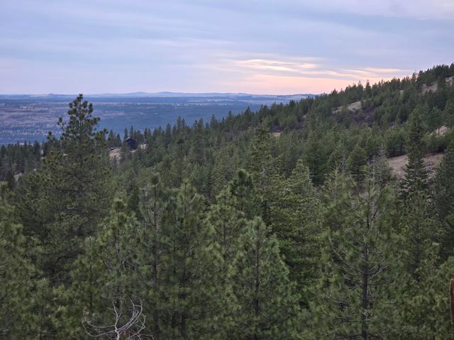 XX Blueridge Way, Deer Park, WA 99006