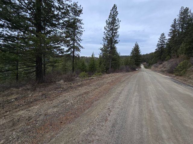 XX Blueridge Way, Deer Park, WA 99006