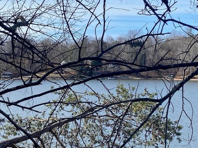 Lot 11 Waterway Point, Goodview, VA 24095