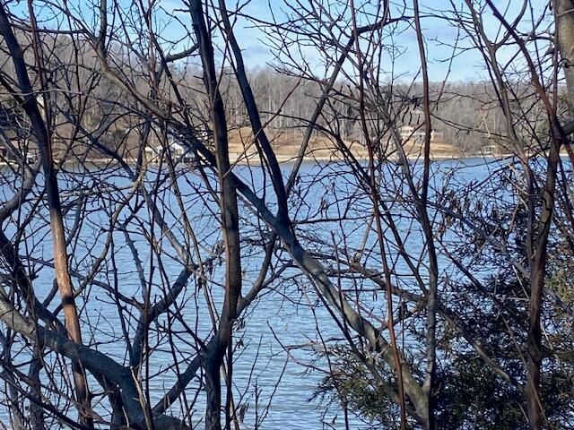 Lot 11 Waterway Point, Goodview, VA 24095