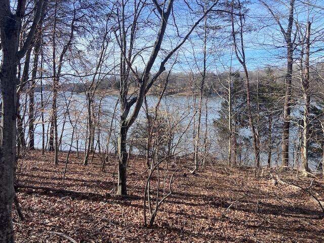 Lot 11 Waterway Point, Goodview, VA 24095