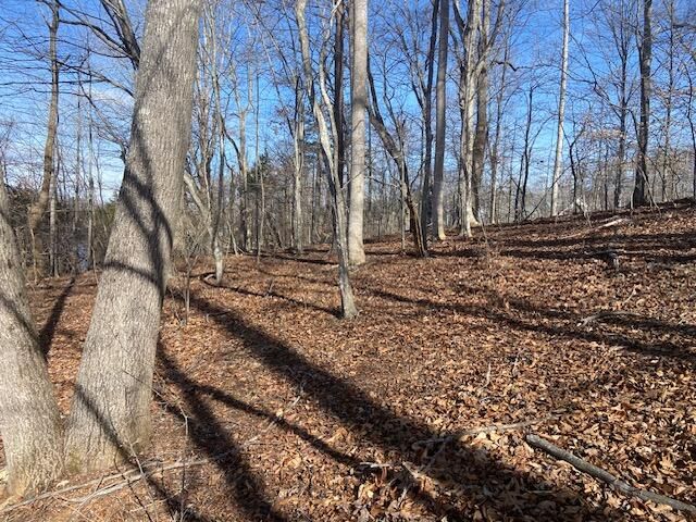 Lot 11 Waterway Point, Goodview, VA 24095
