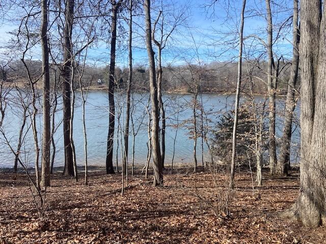 Lot 11 Waterway Point, Goodview, VA 24095