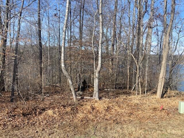 Lot 11 Waterway Point, Goodview, VA 24095