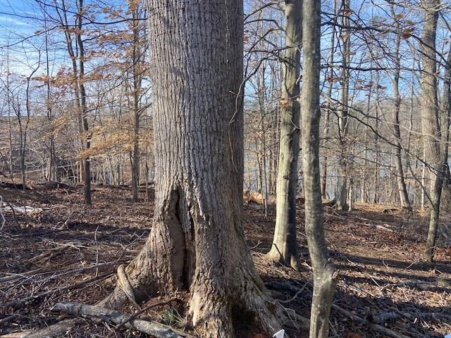 Lot 11 Waterway Point, Goodview, VA 24095