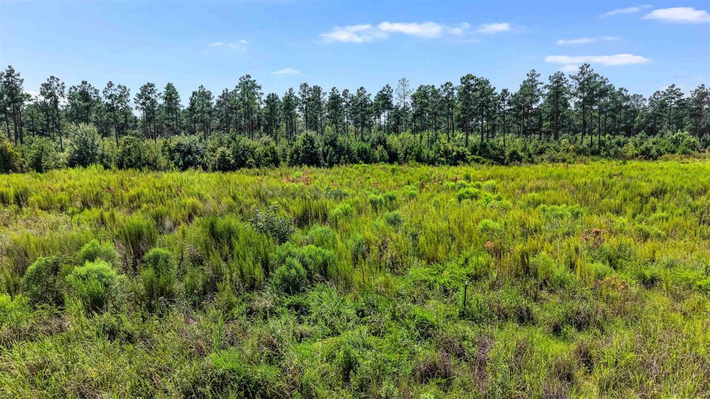 TBD W Highway 19, Loris, SC 29569 — photo 5