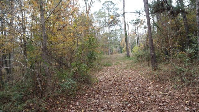 0 E Mourning Dove Trail, Coldspring, TX 77331