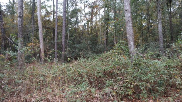 0 E Mourning Dove Trail, Coldspring, TX 77331