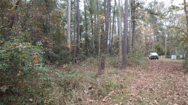 0 E Mourning Dove Trail, Coldspring, TX 77331
