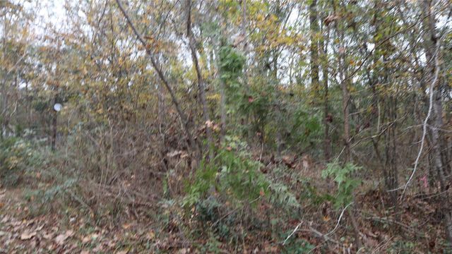 0 E Mourning Dove Trail, Coldspring, TX 77331