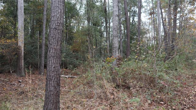 0 E Mourning Dove Trail, Coldspring, TX 77331