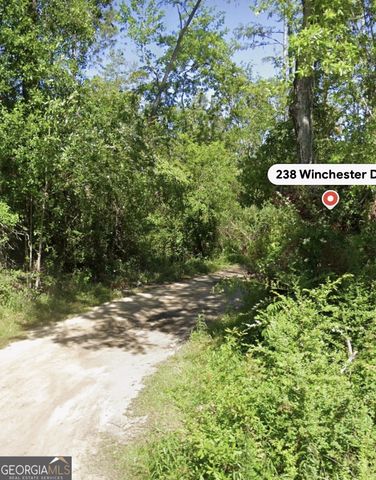 238 Winchester Drive, Douglas, GA 31535