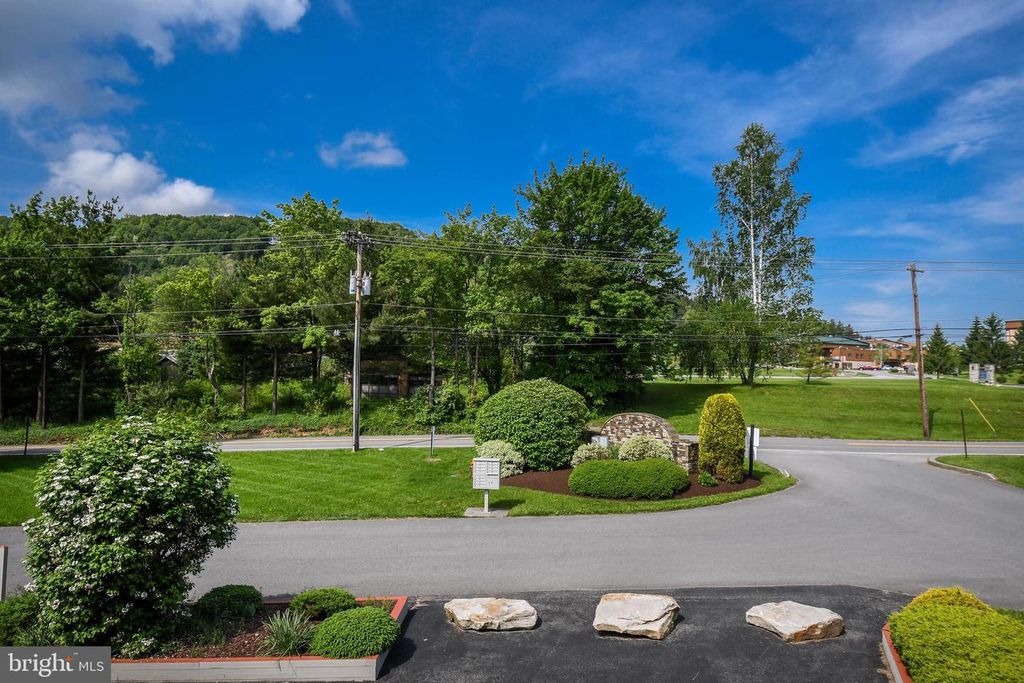 Image 56 of property listing at 305 LAKE POINTE DR, Mc Henry, MD 21541