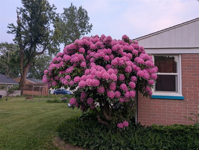 992 N Prospect Road, Ypsilanti, MI 48198