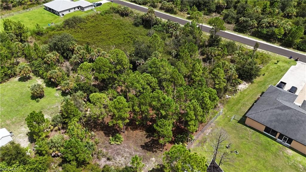 813 8th AVE, LEHIGH ACRES, FL 33972 — photo 5