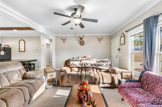 1255 Raintree Lakes Circle, Big Sandy, TX 75755