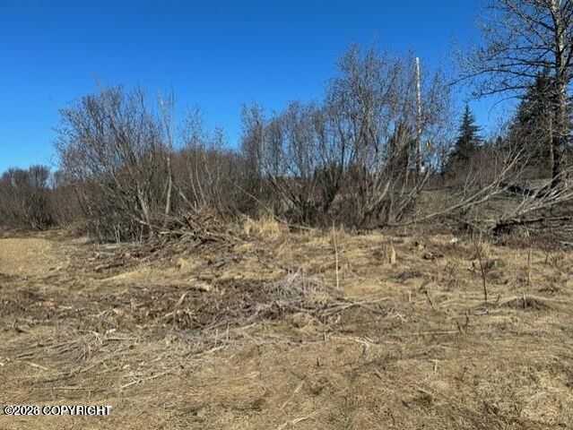 1429 Sterling Highway, Homer, AK 99603