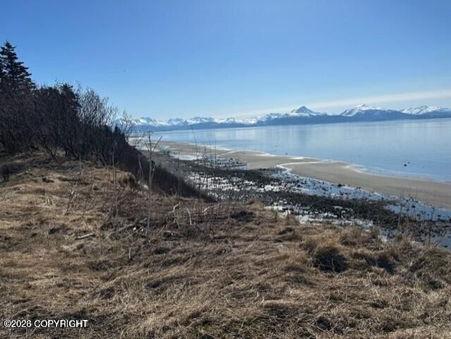 1429 Sterling Highway, Homer, AK 99603