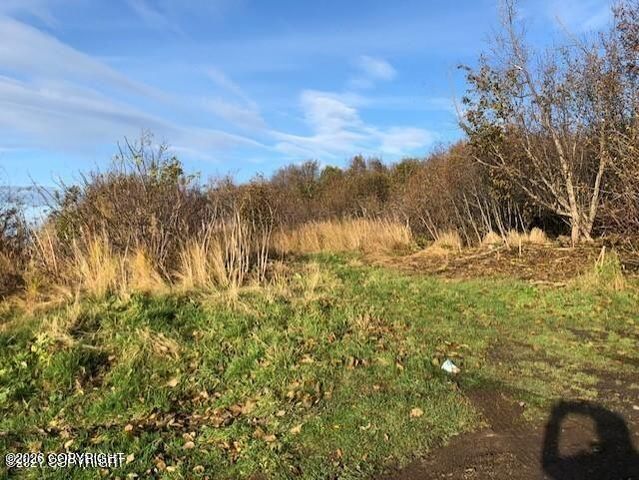 1429 Sterling Highway, Homer, AK 99603