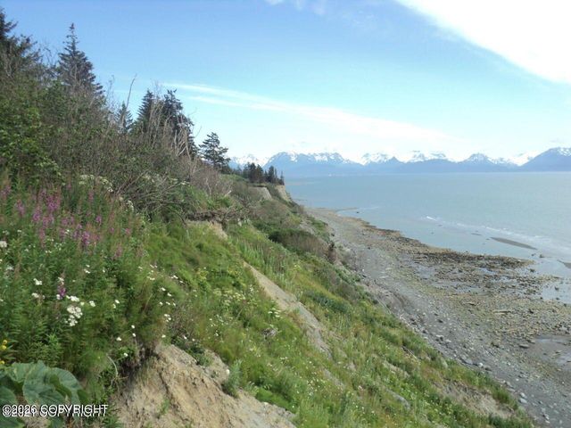 1429 Sterling Highway, Homer, AK 99603