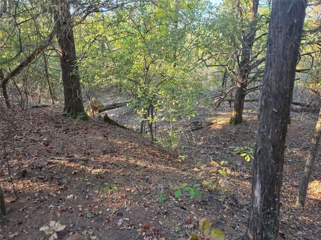 Lot 466 Cr-4710, Larue, TX 75770