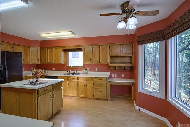 10 Berlanga Circle, Hot Springs Village, AR 71909