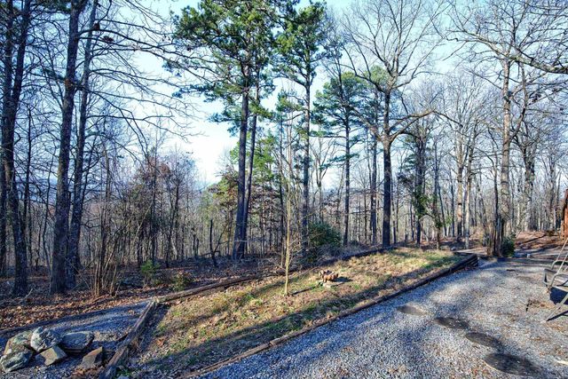 10 Berlanga Circle, Hot Springs Village, AR 71909