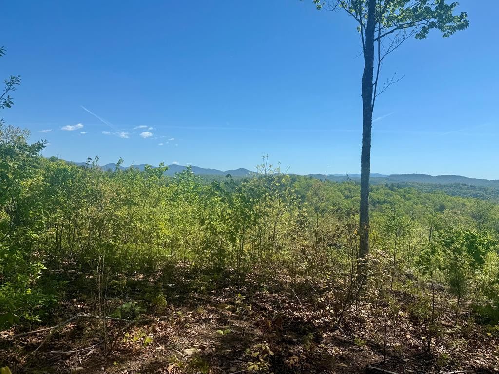 51 Wayah Ridge, Murphy, NC 28906
