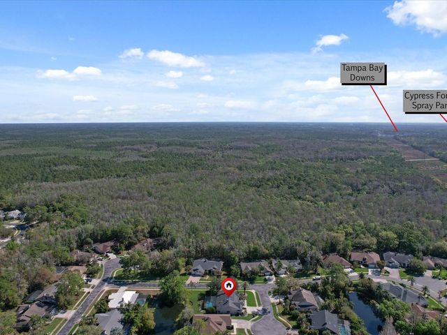 10 WINDRUSH COURT, Oldsmar, FL 34677