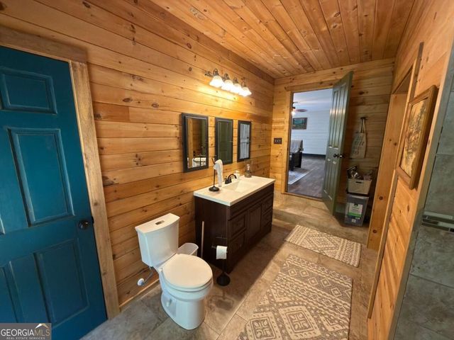 399 Grindstone Creek Drive, Clarkesville, GA 30523