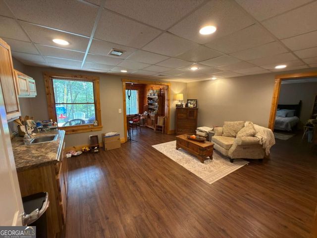 399 Grindstone Creek Drive, Clarkesville, GA 30523