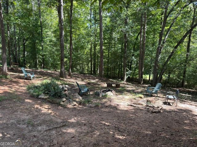 399 Grindstone Creek Drive, Clarkesville, GA 30523