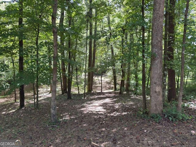 399 Grindstone Creek Drive, Clarkesville, GA 30523