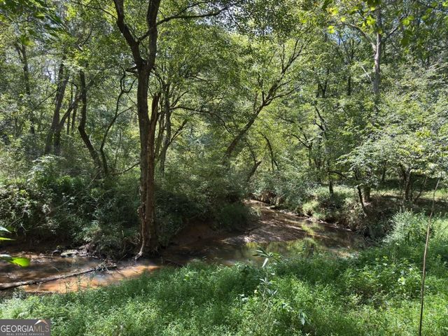 399 Grindstone Creek Drive, Clarkesville, GA 30523