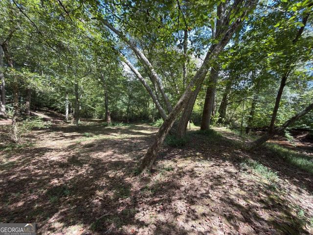 399 Grindstone Creek Drive, Clarkesville, GA 30523