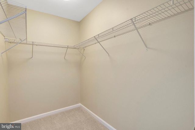 13621 Garfield Pl Apt 302, Woodbridge, VA 22191
