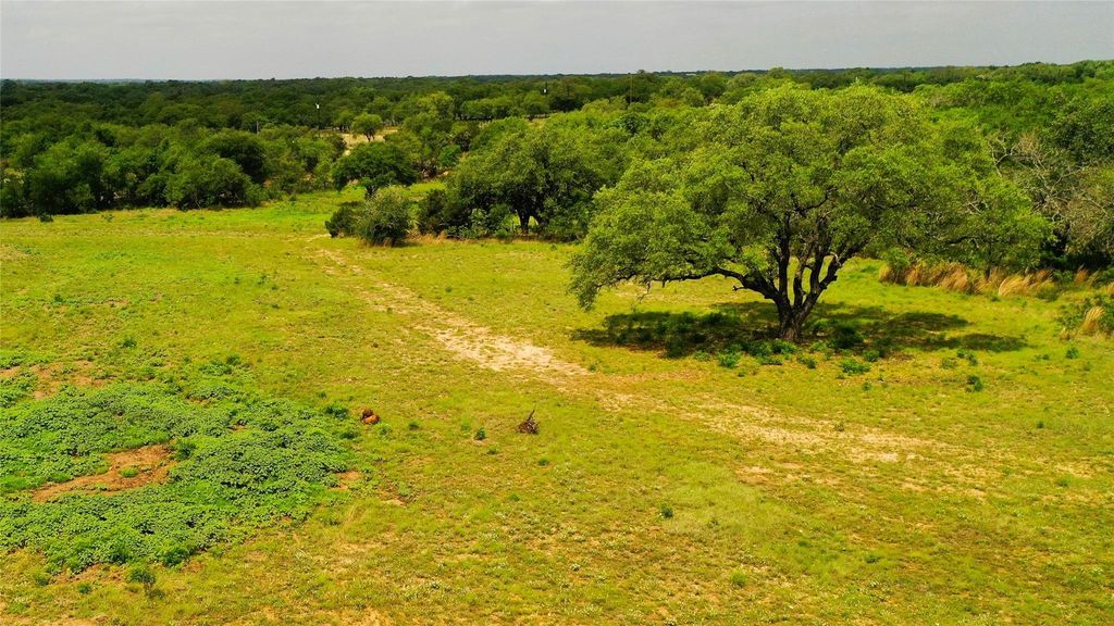 TBD CR 321, Bertram, TX 78605