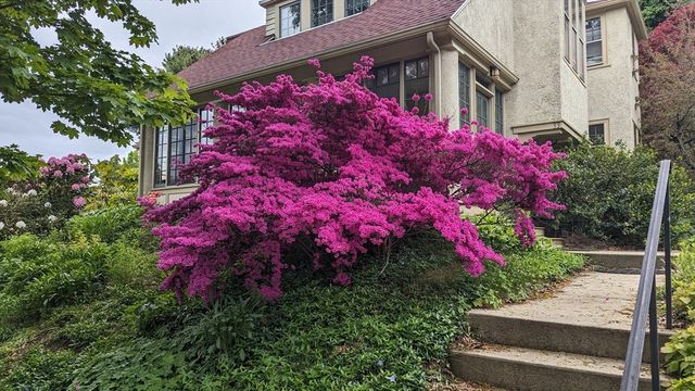 33 Lombard Rd, Arlington, MA 02476