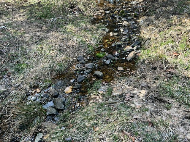 12059 State Highway 38, Marshfield, MO 65706