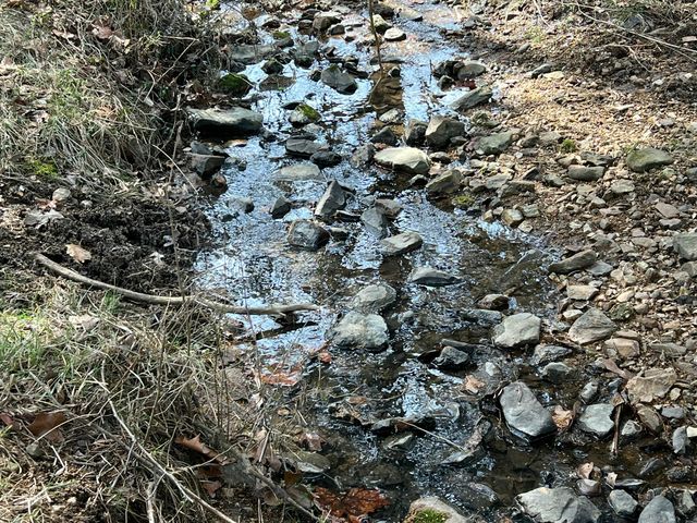 12059 State Highway 38, Marshfield, MO 65706