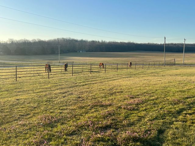 12059 State Highway 38, Marshfield, MO 65706