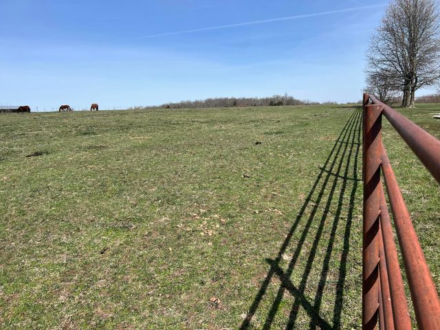 12059 State Highway 38, Marshfield, MO 65706