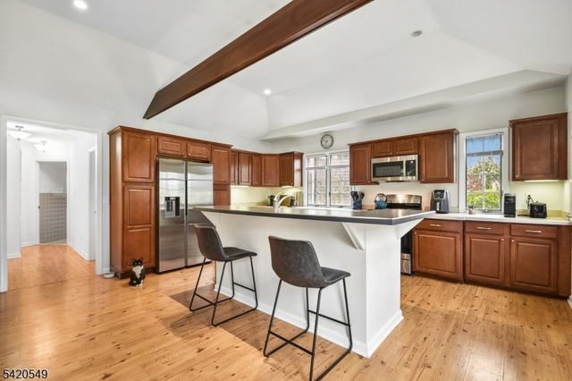 2 Aster Ter, Mendham Boro, NJ 07945