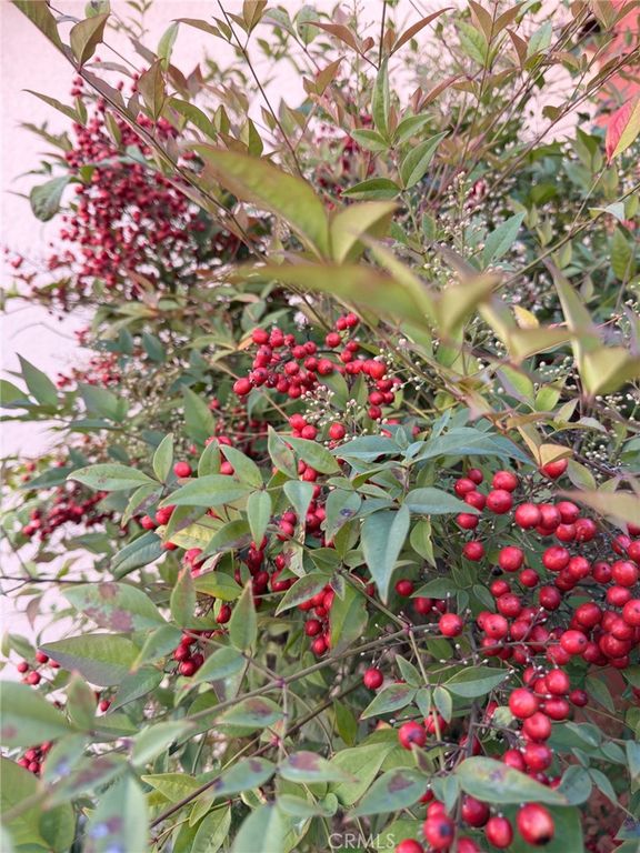 Image 63 of property listing at 2177 Alum Rock Avenue 211, San Jose, CA 95116