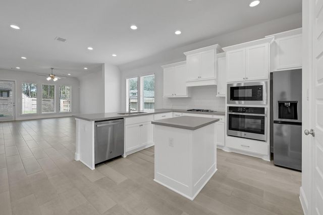 15835 Bird Of Paradise Drive, Conroe, TX 77302